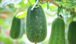 娱乐吃瓜文章推荐,明星们的幕后故事与惊人真相