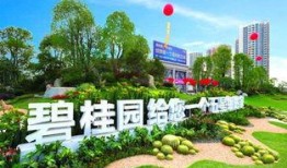 罗定碧桂园爆料最新消息,揭秘项目进展与亮点